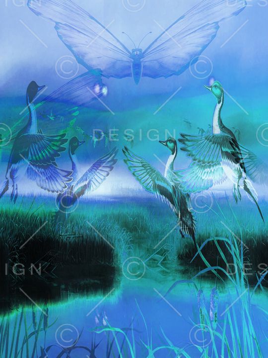 飞鸟印花华亿平台图片