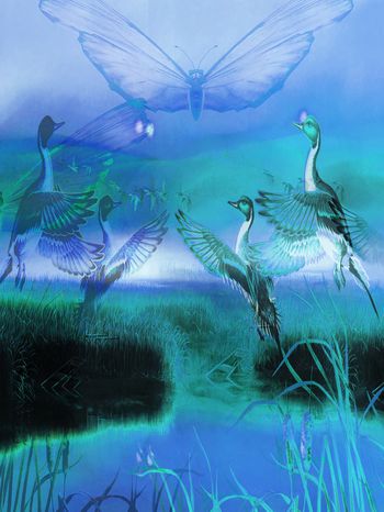 826211-飞鸟相于还2