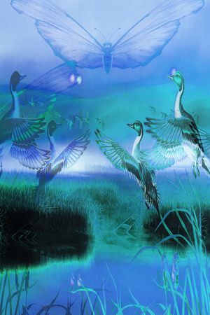 飞鸟印花华亿平台图片