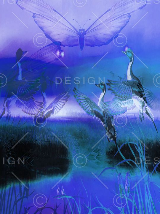 飞鸟印花华亿平台图片