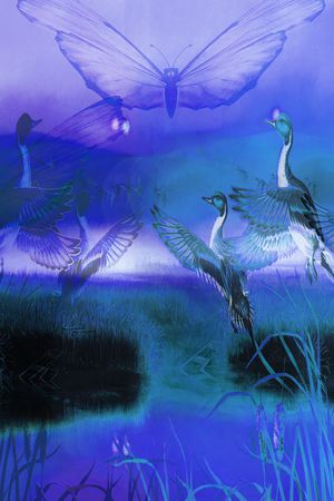 飞鸟印花华亿平台图片