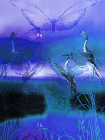 826224-飞鸟相于还3