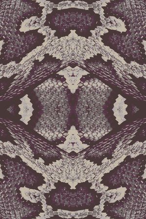 蛇纹印花华亿平台图片