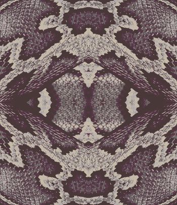 蛇纹印花华亿平台图片