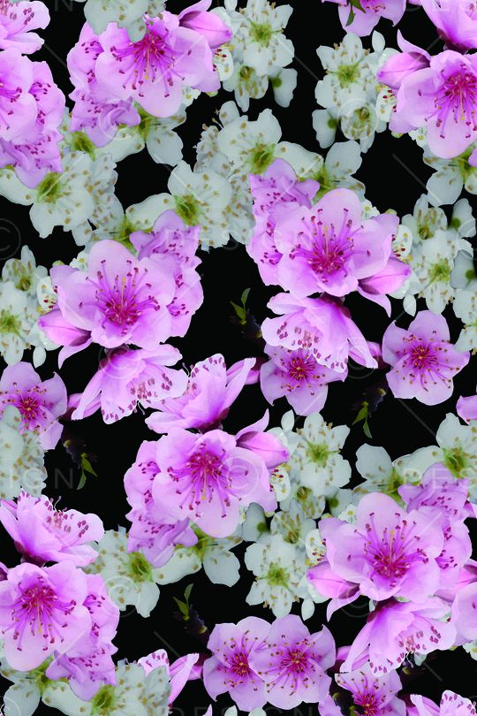 大花印花华亿平台图片