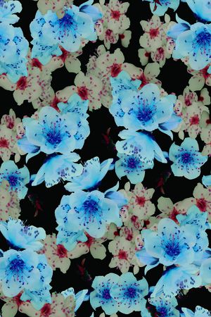 大花印花华亿平台图片