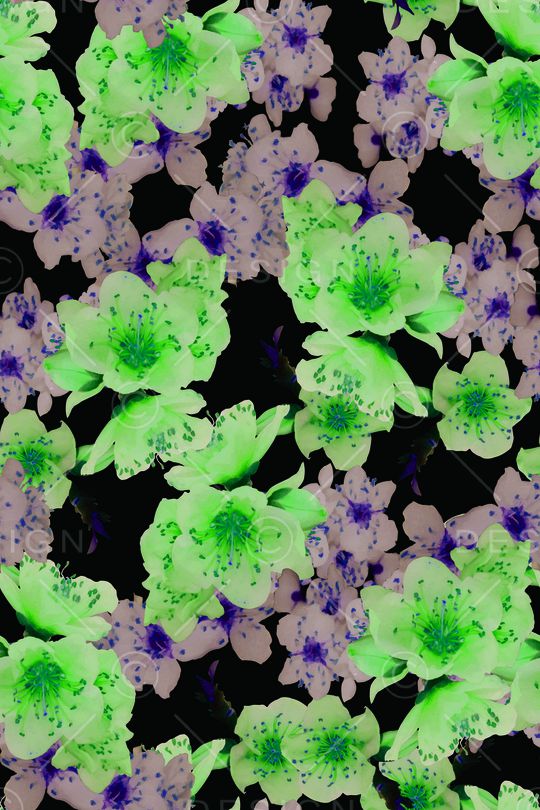 大花印花华亿平台图片