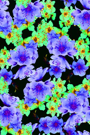 大花印花华亿平台图片