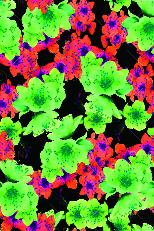 大花印花华亿平台图片