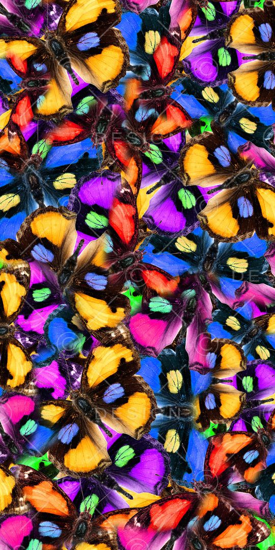 蝴蝶印花华亿平台图片