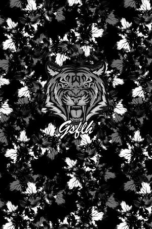 欧美复古大牌印花风格印花华亿平台图片