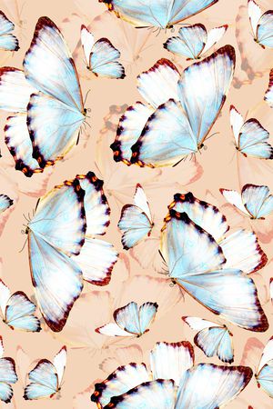 蝴蝶印花华亿平台图片