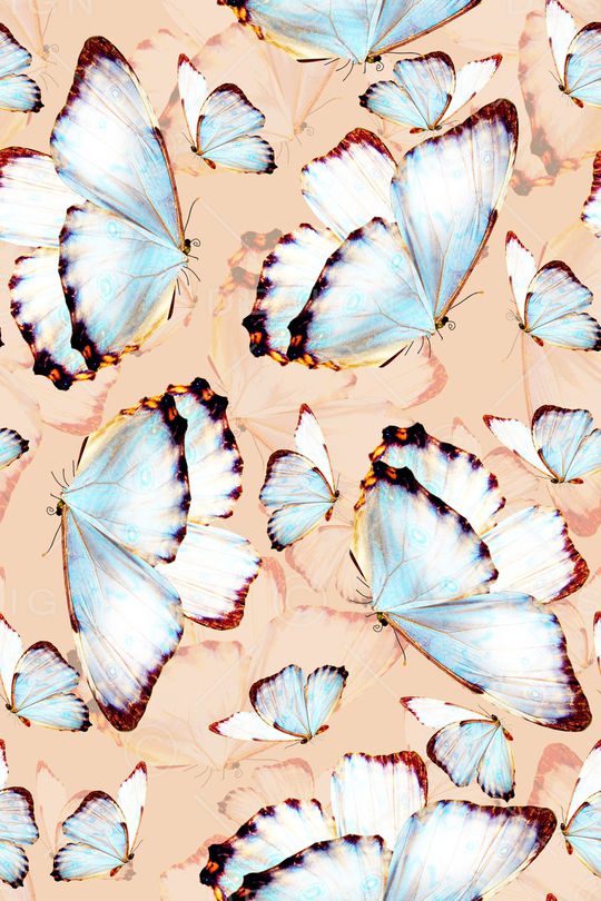 蝴蝶印花华亿平台图片