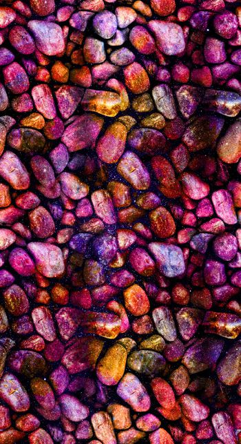 826963-DG95-1490_P (W-24