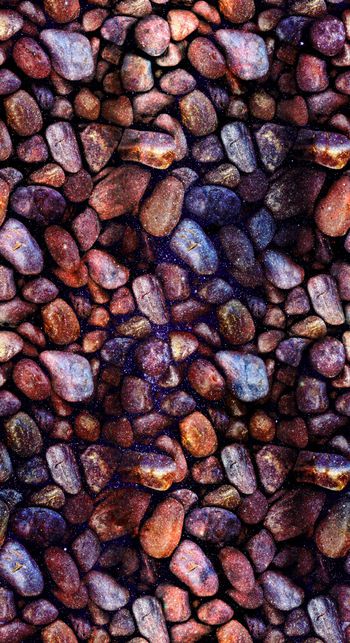 826978-DG95-1490_P1 (W-2