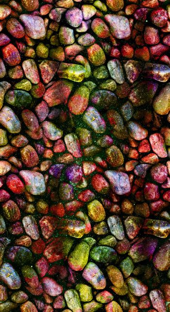 826994-DG95-1490_P3 (W-2