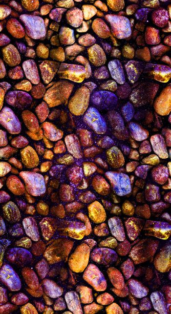 826999-DG95-1490_P4 (W-2