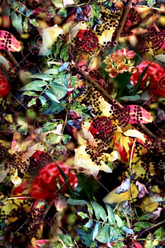 时尚印花华亿平台图片