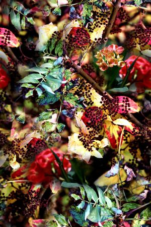 时尚印花华亿平台图片