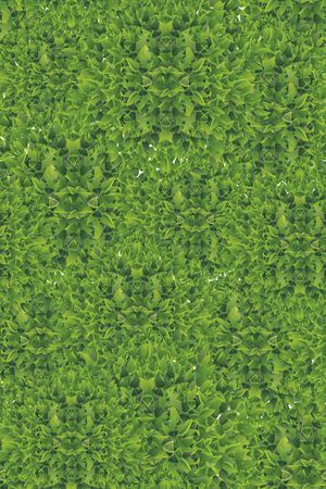 圆形印花华亿平台图片