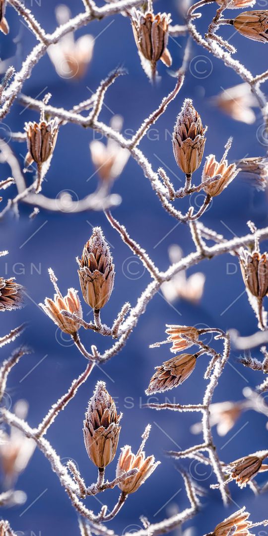 风景印花华亿平台图片