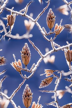 风景印花华亿平台图片