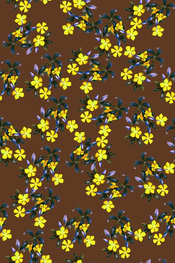 827613-优雅花卉 咖啡