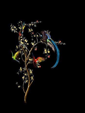 827647-DNG杜嘉班纳花鸟柠檬树