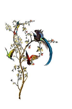 鸟印花华亿平台图片