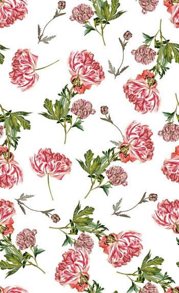 827741-复古手绘郁金香，花卉，花朵-A