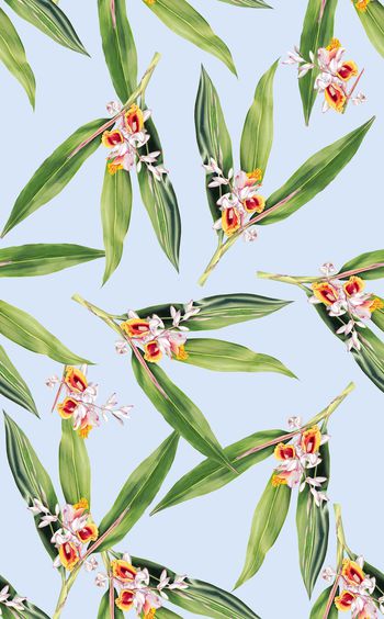 827745-手绘竹叶花 ，鹤望兰花，建兰，蕙兰