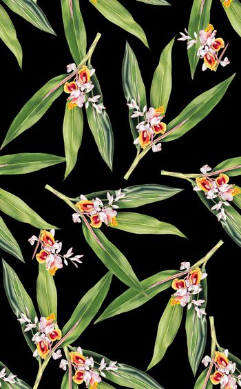 827746-手绘竹叶花 ，鹤望兰花，建兰，蕙兰