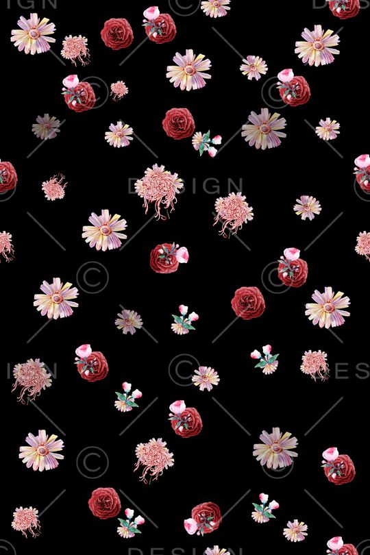 菊花印花华亿平台图片