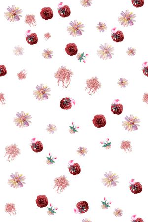 菊花印花华亿平台图片