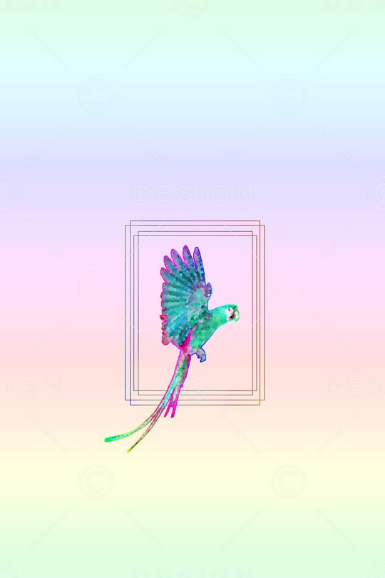 老鹰印花华亿平台图片