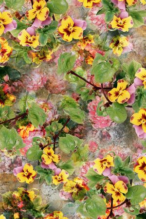 康乃馨印花华亿平台图片