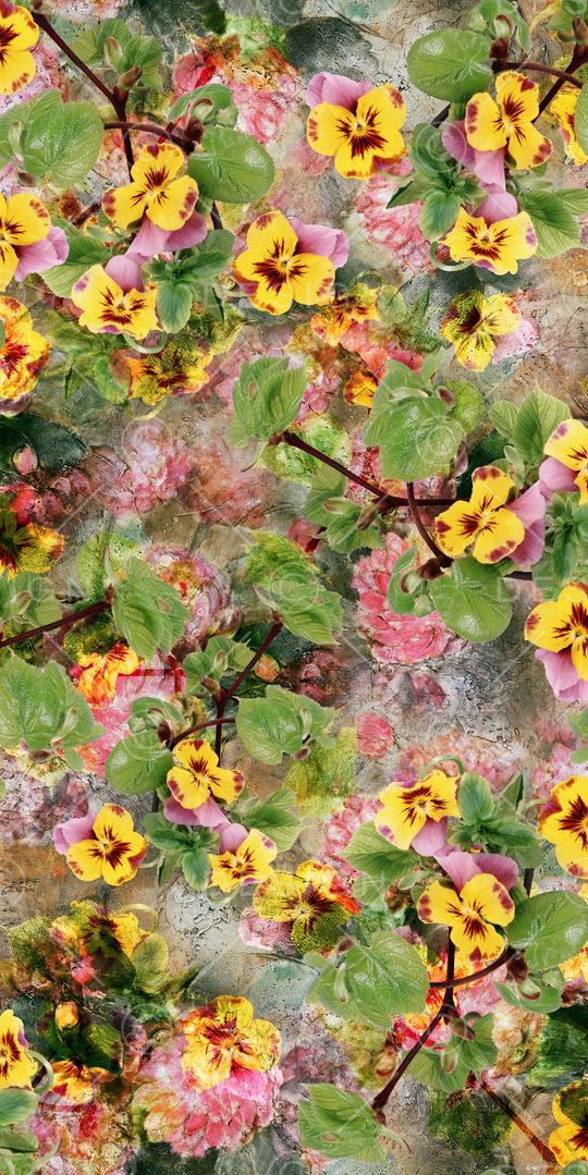 康乃馨印花华亿平台图片