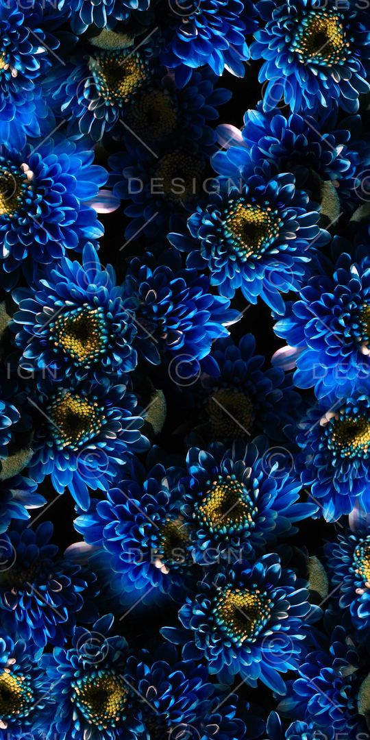 鲜花印花华亿平台图片