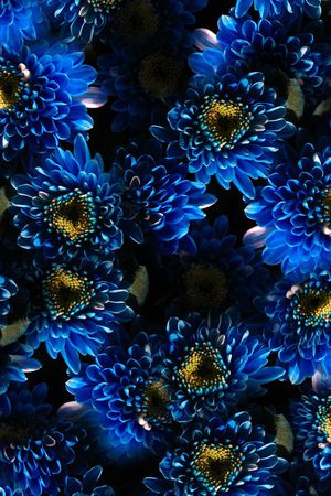 鲜花印花华亿平台图片