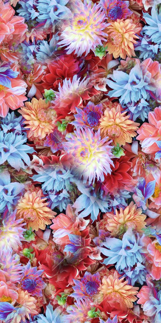 乱花印花华亿平台图片