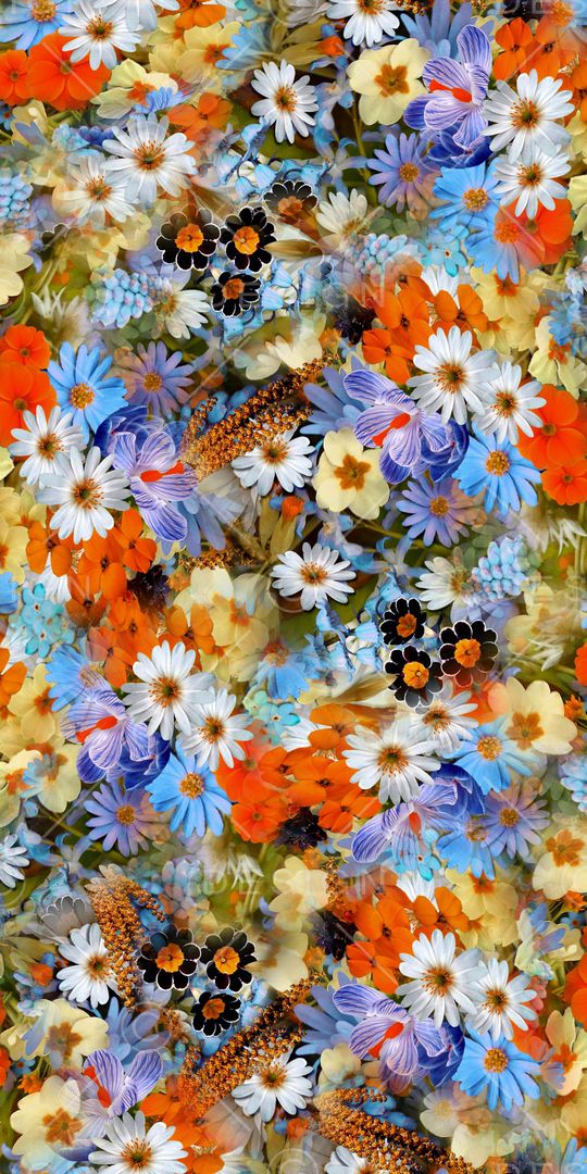 雏菊印花华亿平台图片