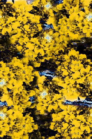 大花印花华亿平台图片