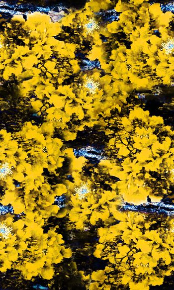 大花印花华亿平台图片