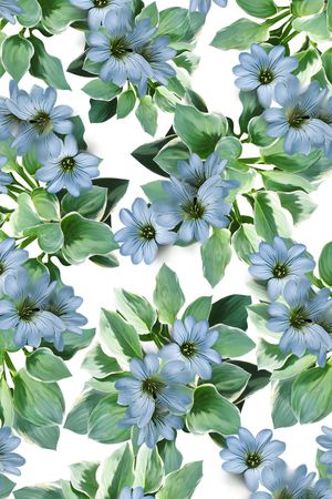 兰花印花华亿平台图片