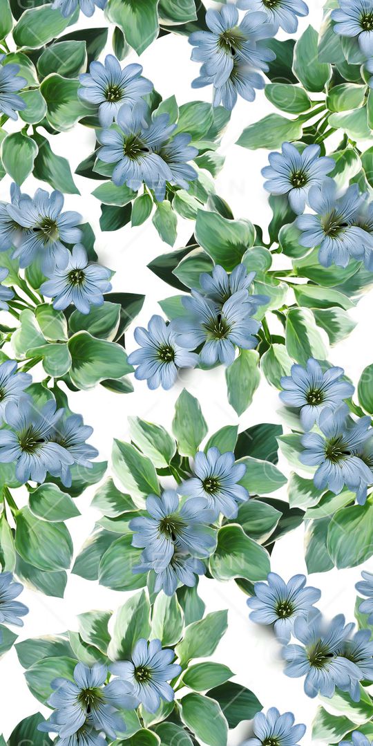 兰花印花华亿平台图片