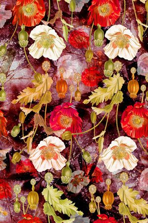 罂粟花印花华亿平台图片