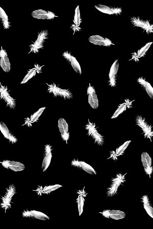 羽毛印花华亿平台图片