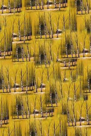 趣味印花华亿平台图片