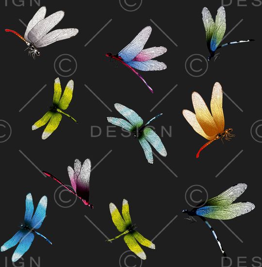 翅膀印花华亿平台图片