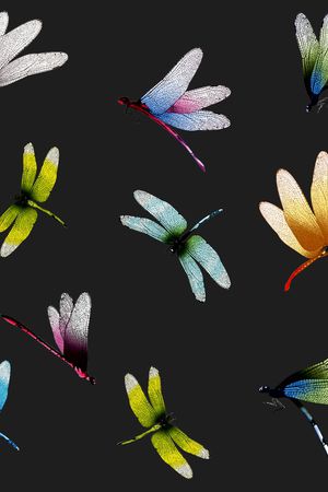 翅膀印花华亿平台图片